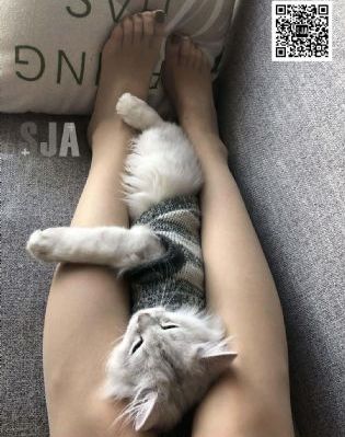 三级黄色片免费观看_4KBD在线观看